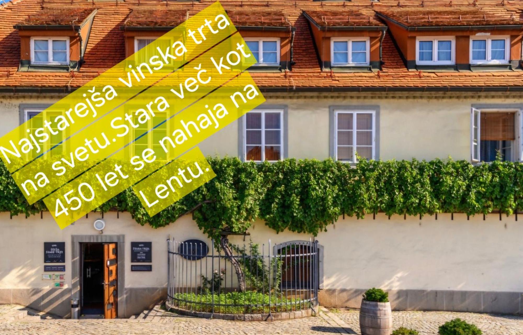 Apartment Dolce Vita Maribor Ngoại thất bức ảnh